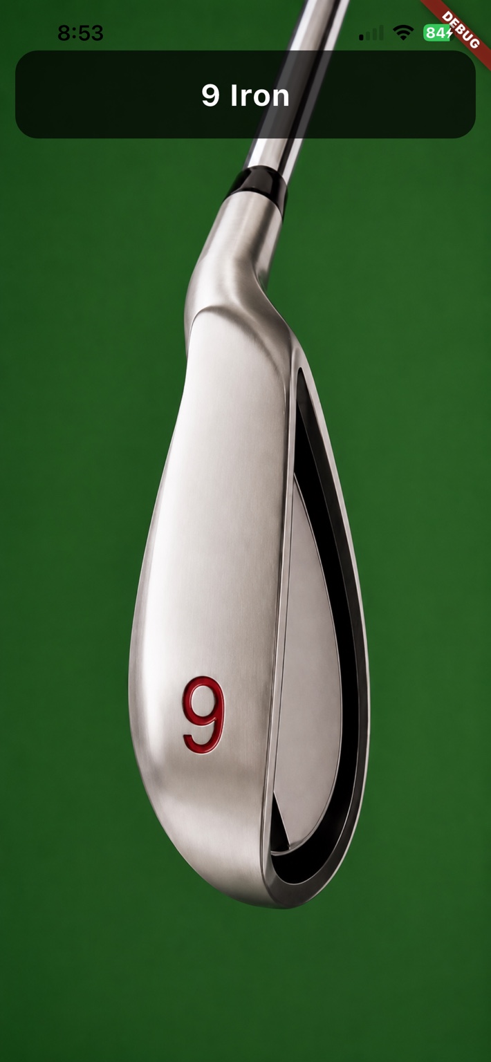Bump & Run Golf landing guidance screen